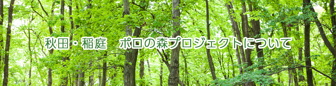 秋田・稲庭　ポロの森プロジェクトについて